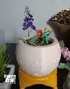 20250329_153701_0000.webp